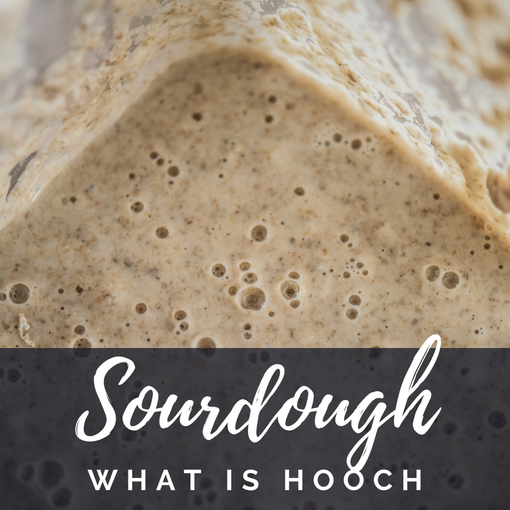 Why does my Sourdough Starter Smell Funny; What is Hooch and Why does it Develop?