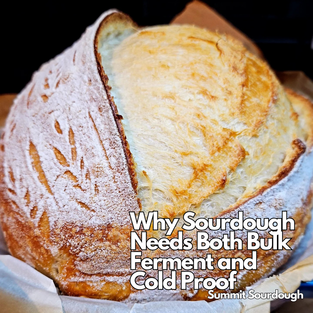 Why Sourdough Bread Needs Both Bulk Ferment and Cold Proof