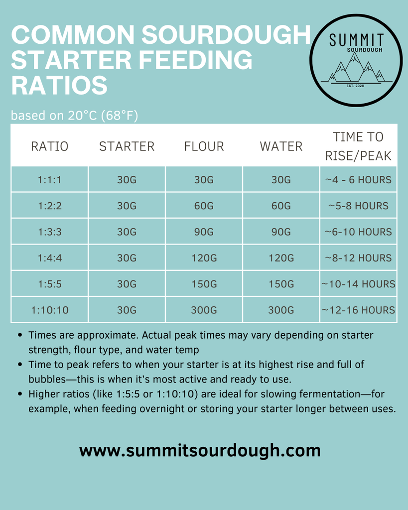 Sourdough Feeding Ratio Chart When to Use Each Ratio (Easy Guide