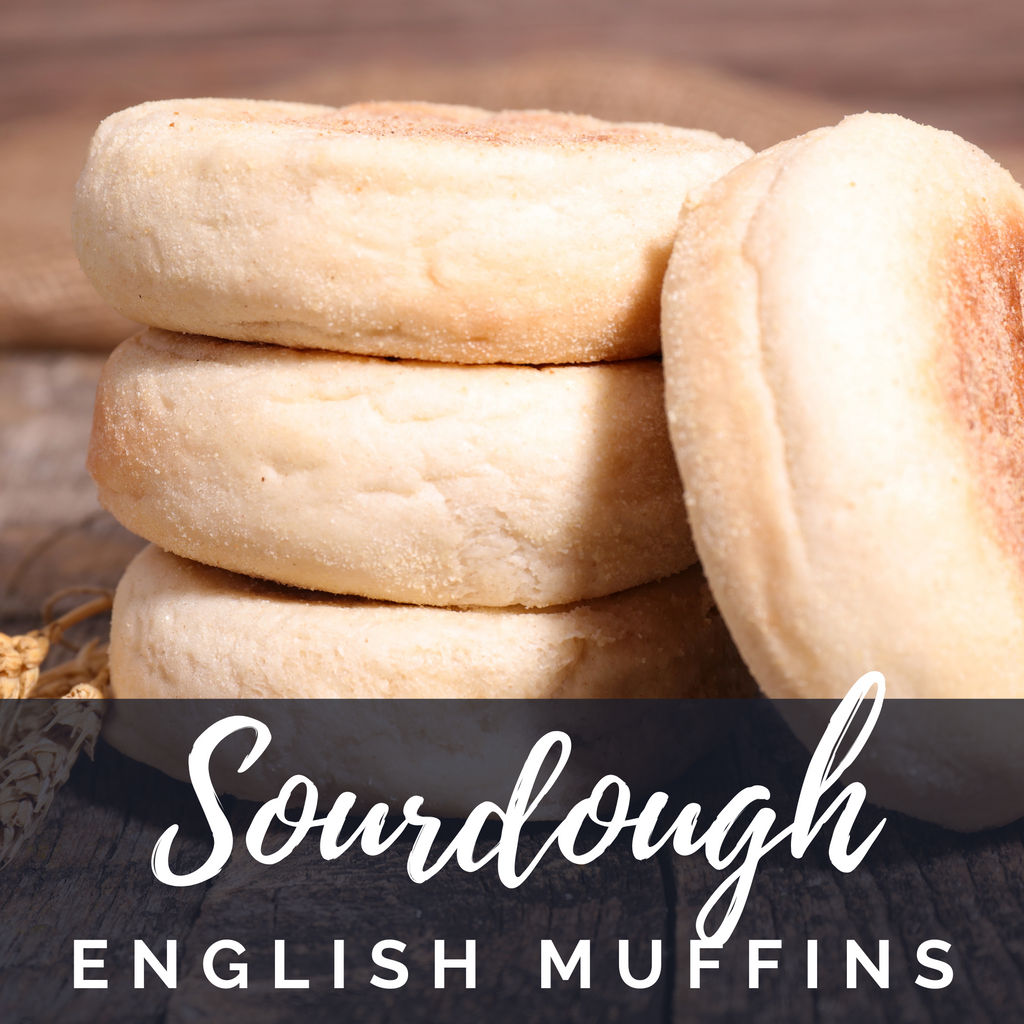 Sourdough English Muffins Overnight Recipe