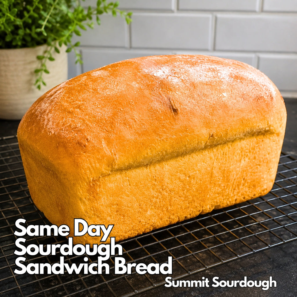 Soft and fluffy same-day sourdough sandwich bread cooling on a rack after baking.