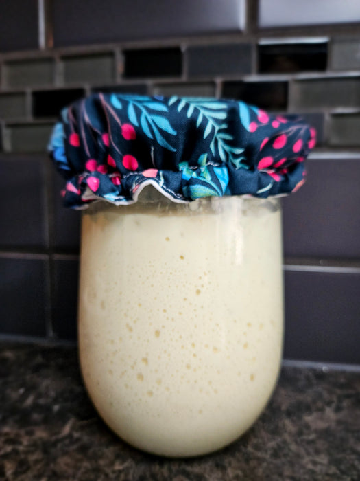 Reusable Sourdough Jar Cover - Lined, Multiple Colors