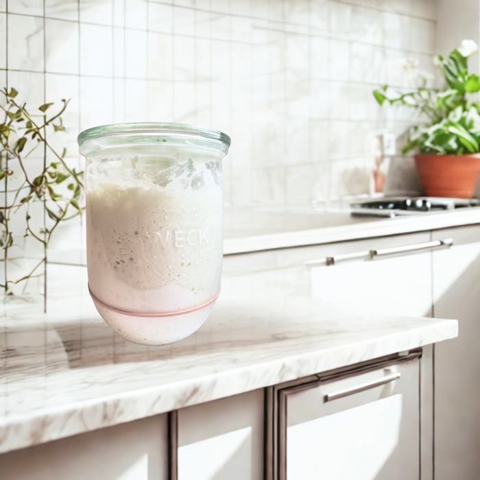 Weck 745 1L Tulip Jar | The Perfect Jar for Sourdough Starters