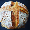 125 year old sourdough starter - three pack