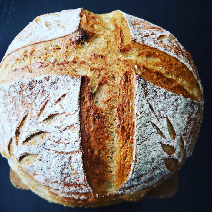 125 year old sourdough starter - three pack