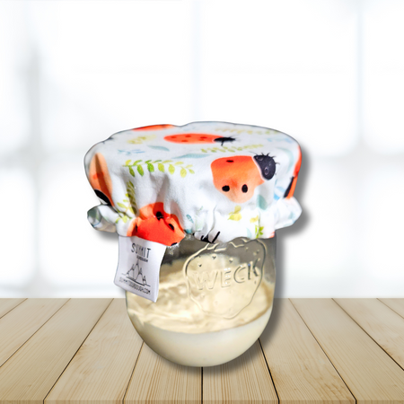 Ladybug print jar cover for sourdough starter fermentation