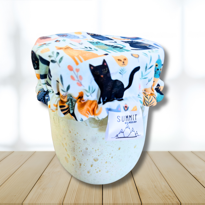 Eco-friendly fabric cover on a glass jar of active sourdough starter

