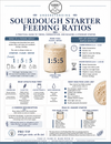 Printable guide explaining sourdough starter feeding ratios, fermentation timing, peak activity, starter strength, flour selection, temperature effects, and how to recognize a healthy sourdough starter.