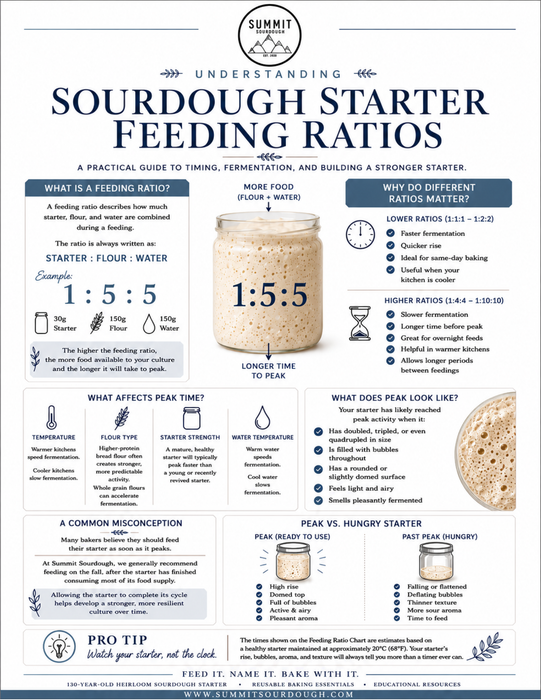 Printable guide explaining sourdough starter feeding ratios, fermentation timing, peak activity, starter strength, flour selection, temperature effects, and how to recognize a healthy sourdough starter.