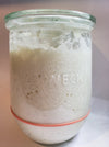 125 year old sourdough starter - three pack