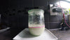 Summit sourdough starter growing in a glass jar after a feeding. The starter has a fluffy, bubbly texture and is expanding with a creamy color.